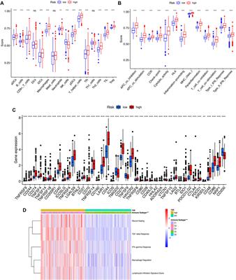 Identification of a cellular senescence-related-lncRNA (SRlncRNA) signature to predict the overall survival of glioma patients and the tumor immune microenvironment